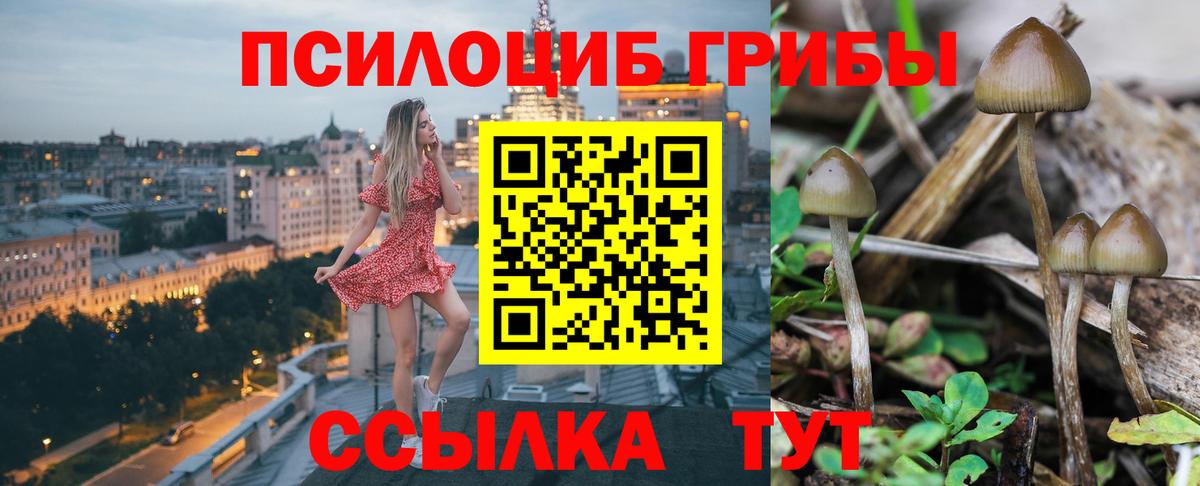 Псилоцибиновые грибы мухоморы Сокол